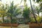 Coconut Grove Royale 2*