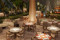 NG Sign Bodrum 5*